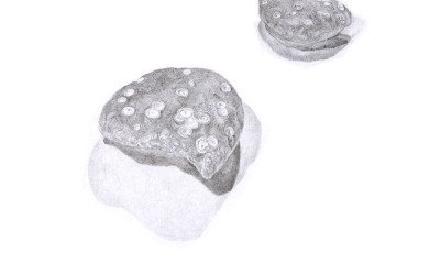 a pencil drawing of a pebble and it's reflection