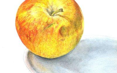 apple painting in watercolour