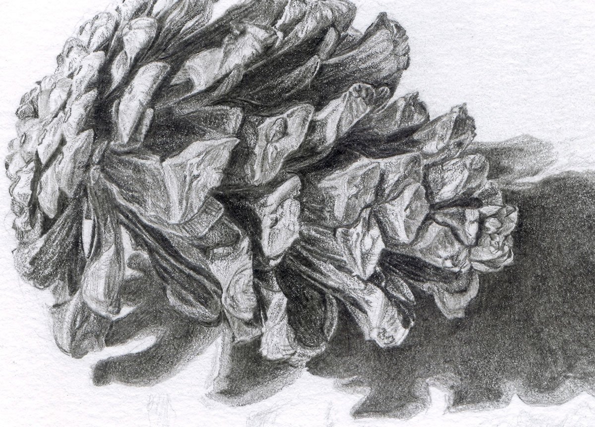 detail of previous drawing