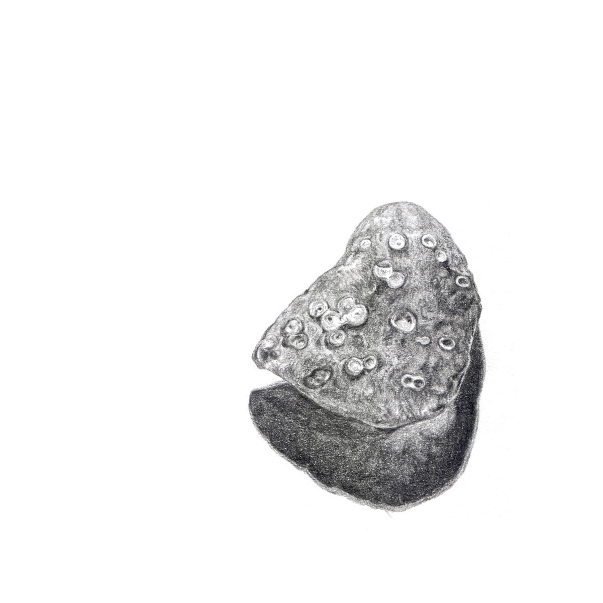 pencil drawing of a pebble from the beach